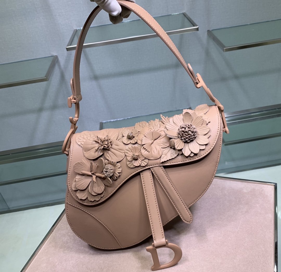 D10r Saddle rose des vents bag M0446