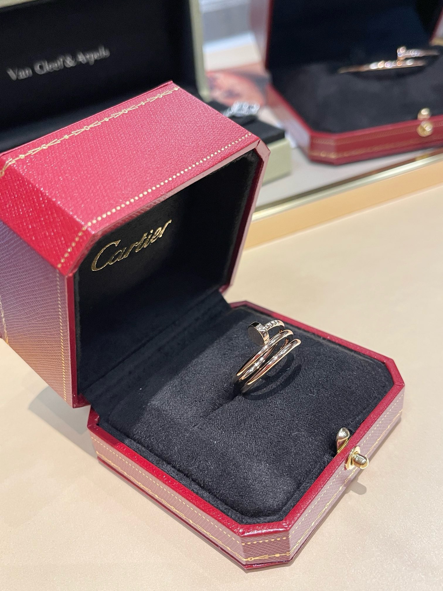 Bagsaaa Ca*t1er Juste Un Clou Ring
