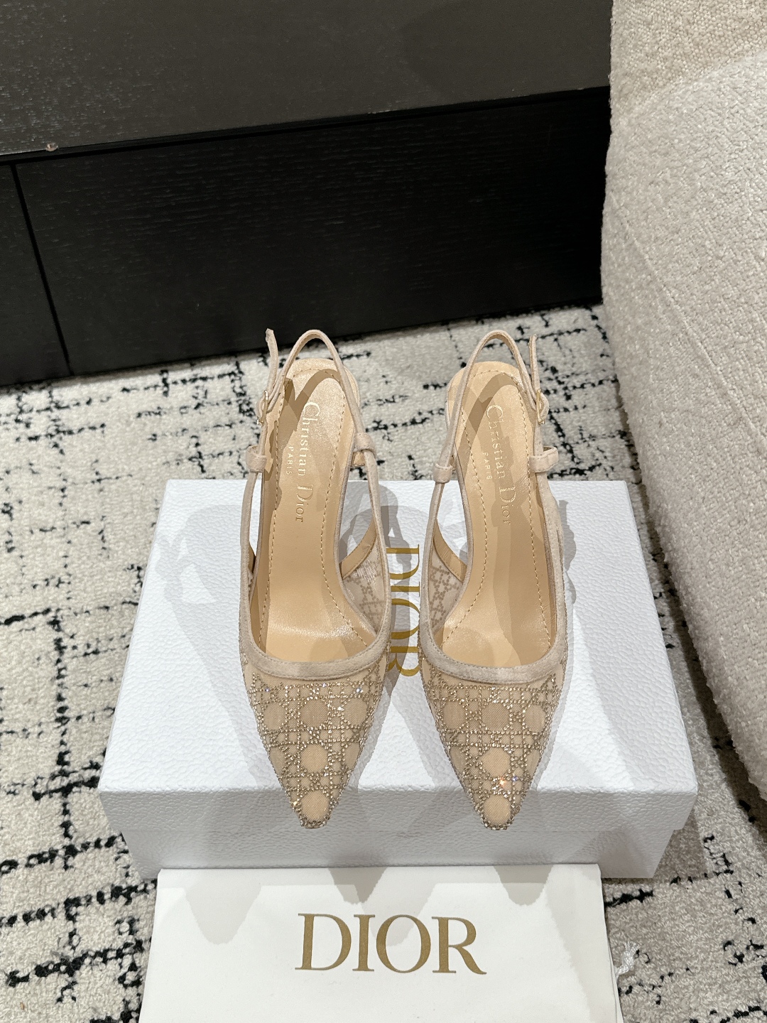 Bagsaaa D10r Capture Slingback Pump Transparent Mesh with Strass Cannage Motif and Nude Suede Goatskin